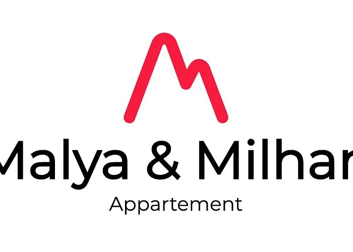 Milhan Avec Climatisation Centre * Grenoble