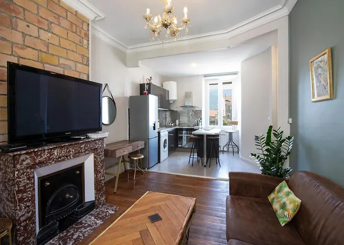 Apartment Milhan Avec Climatisation Centre Grenoble