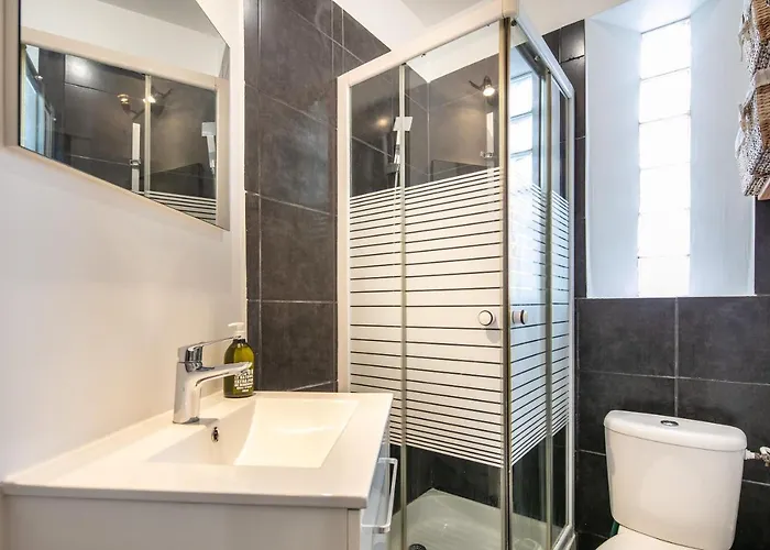 Apartment Milhan Avec Climatisation Centre Grenoble