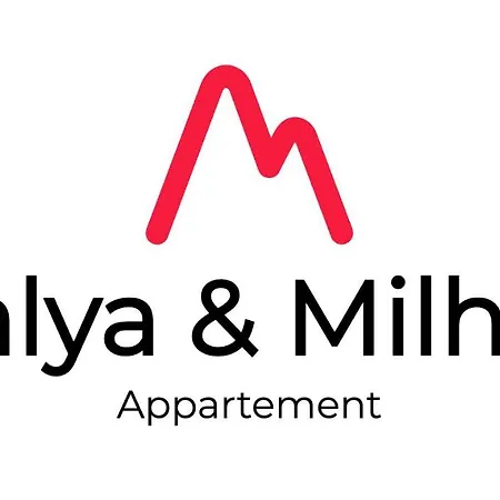 Milhan Avec Climatisation Centre * Grenoble